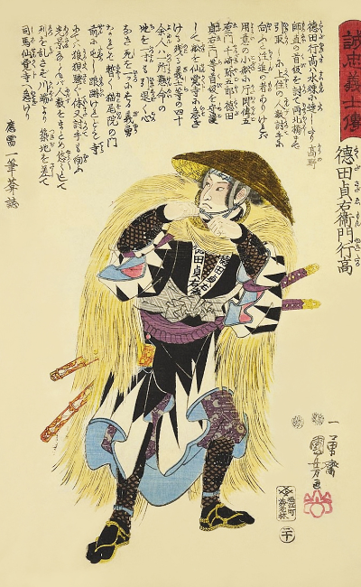 ILUSTRACIÓN DE COROZA JAPONESA